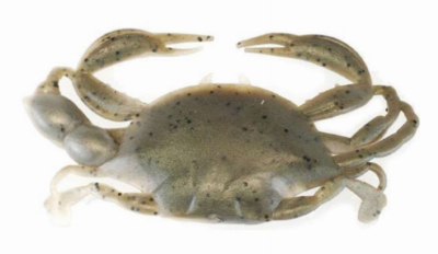 Gulp Saltwater Peeler