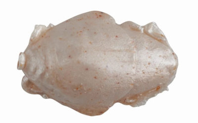 SW Surf Bytes Sand Flea