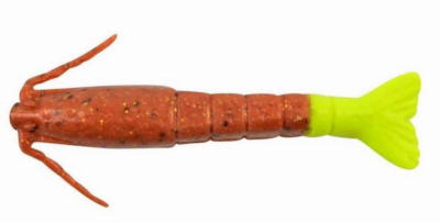 SW Shrimp