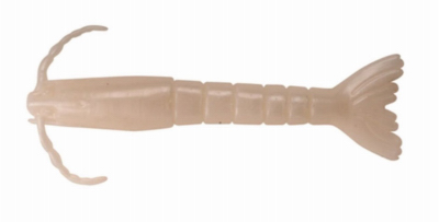 SW Shrimp