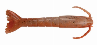 Saltwater Shrimp