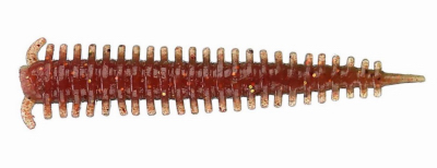 Saltwater Sandworm