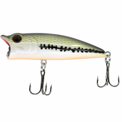 3PC Topwater Popper