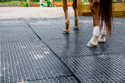 4x6x3/4Equine Stall Mat