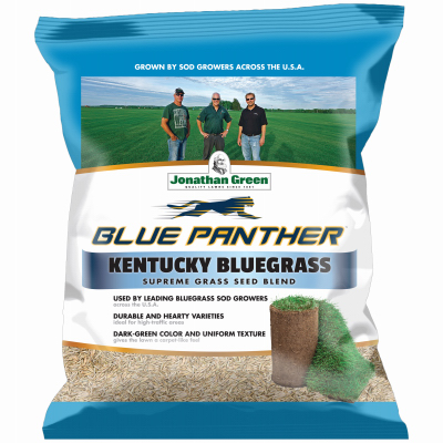 BLUPant 3LB KY BLU Seed