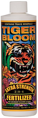 PT Tiger Bloom