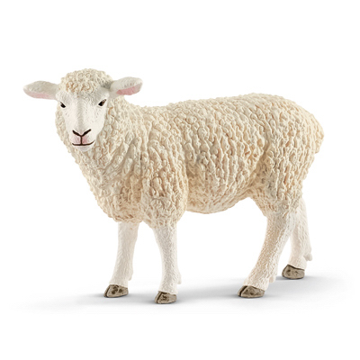 WHT Sheep
