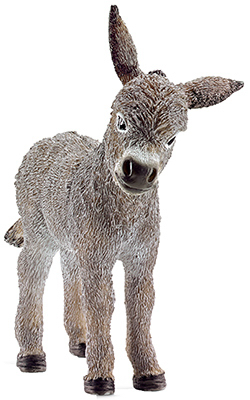 GRY Donkey Foal