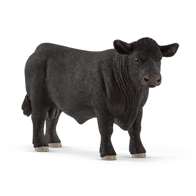 BLK Angus Bull