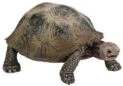 GRN Turtle