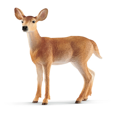 BRN/WHT Tailed Doe