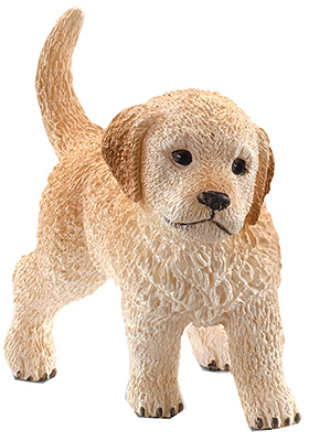 Golden Retriever Puppy