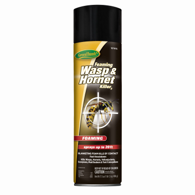 GT 17.5OZ Wasp Spray