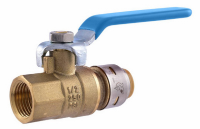1/2" FNPT Ball Valve