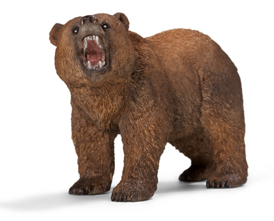 BRN Grizzly Bear