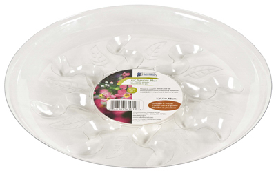 12" Saucer Plus
