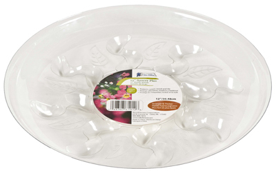 16" Saucer Plus