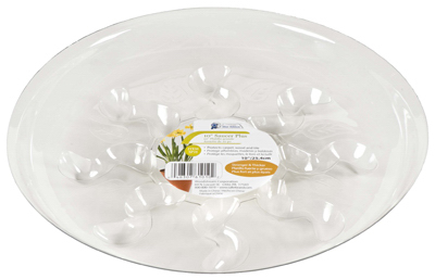 6" Saucer Plus
