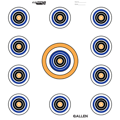 12" 11 Spot Target