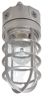 100W Vapor Tight Light