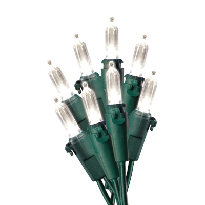 HW 50CT WW LED LGT Set
