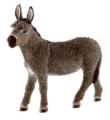 BRN Donkey