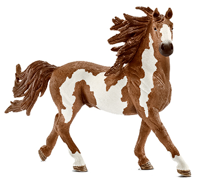 BRN/WHT PTO Stallion