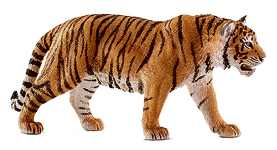 ORG/BLK Tiger