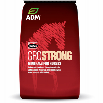 25LB Horse Vit/Mineral