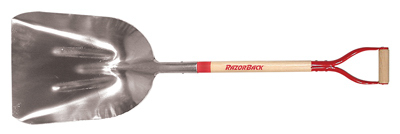 #12 ALU Scoop