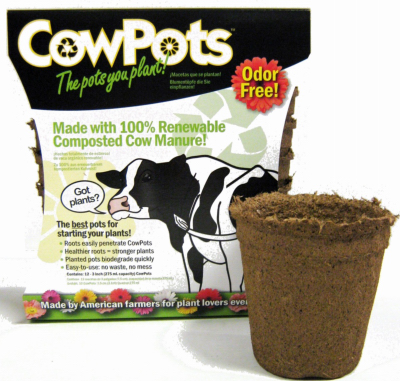 12PK 3" RND Cow Pot