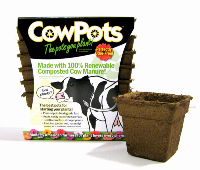 12PK 4" SQ Cow Pot