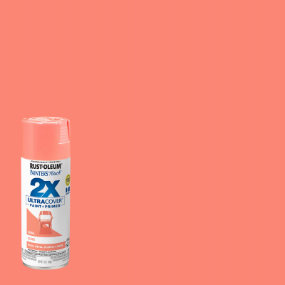PT2X 12OZ Corral Paint