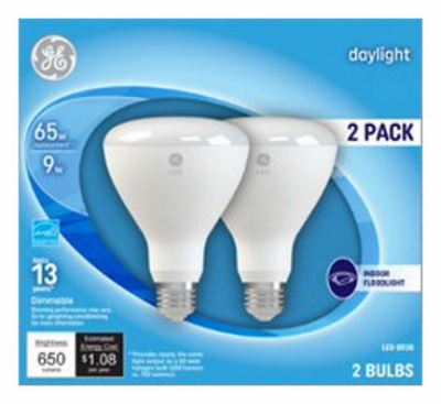 GE2PK 10W Day BR30 Bulb