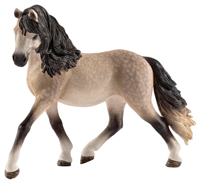 GRY Andalusian Mare