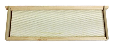 MED/Honey Beehive Frame