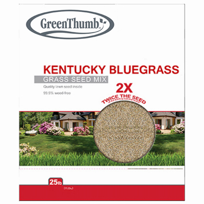 GT25LB KY BLUgrass Seed