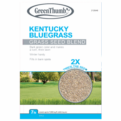 GT 7LB KY BLUgrass Seed