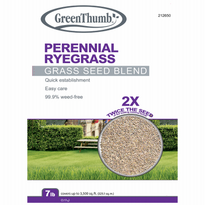 GT 7LB Peren Rye Seed