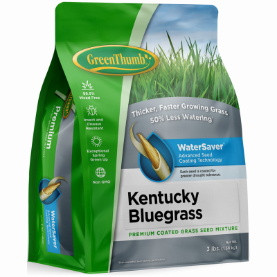 GT 3LB KY BLU Seed