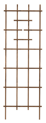 72" BRN Ladder Trellis