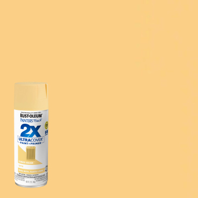 PT2X12OZ Squash Paint