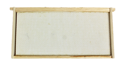 5PK Deep/LG Bee Frame