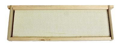 5PK MED/Hon Bee Frame
