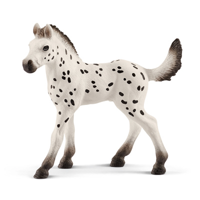 WHT Knabstrupper Foal