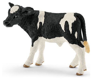 BLK/WHT Holstein Calf