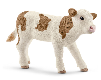 BRN/WHT Simmental Calf