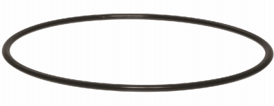 1" Housing O Ring