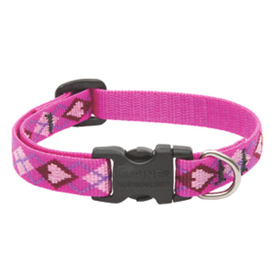 1/2x8-12 PL Dog Collar