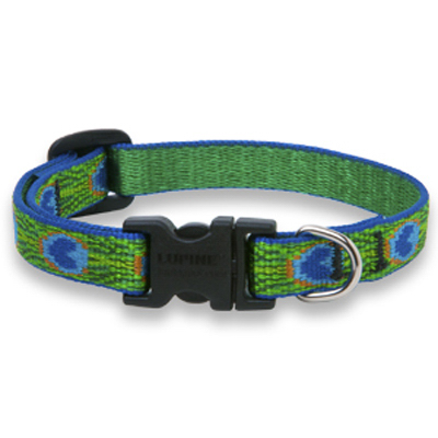 3/4x9-14 TF Dog Collar
